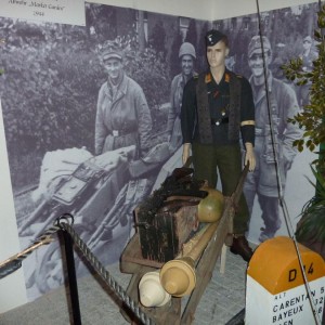 img_308367_13332.jpg