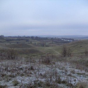 img_308697_64752.jpg