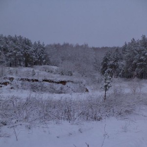 img_312369_64752.jpg