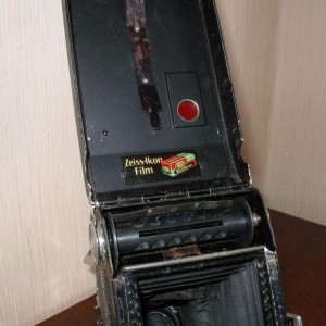 img_312727_36667.jpg