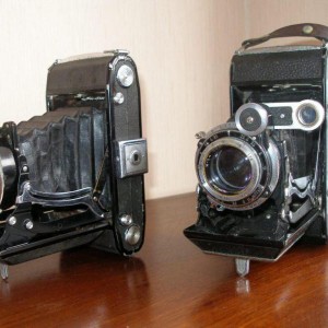 img_312728_36667.jpg