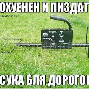 img_312828_51085.jpg