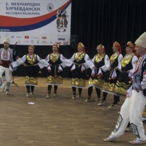 img_313037_25122.jpg