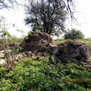 img_313293_48575.jpg