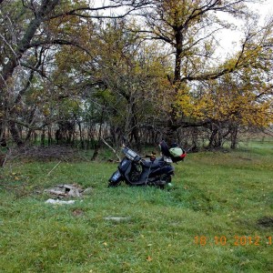 img_313294_48575.jpg