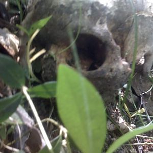 img_314674_68939.jpg
