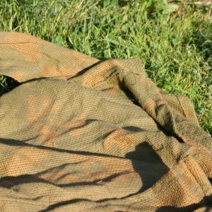 img_318877_10522.jpg