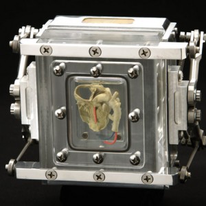 PHOTOCAMERAS