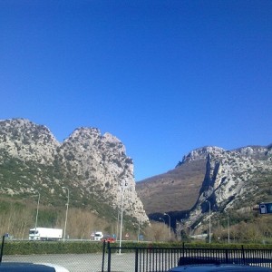 img_319633_43254.jpg