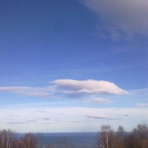 img_319635_43254.jpg