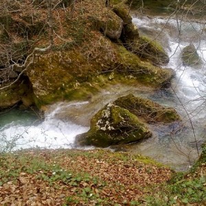 img_319641_43254.jpg
