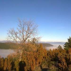 img_319667_43254.jpg