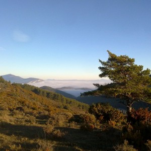 img_319668_43254.jpg
