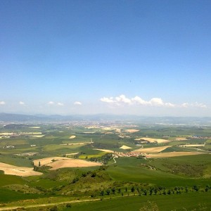 img_319676_43254.jpg