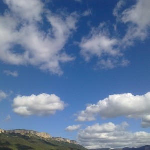 img_319680_43254.jpg