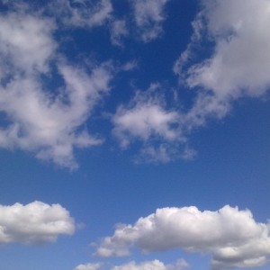 img_319681_43254.jpg