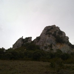 img_319694_43254.jpg