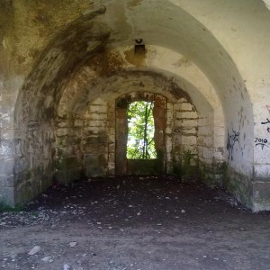 img_319821_43254.jpg