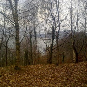 img_319856_43254.jpg