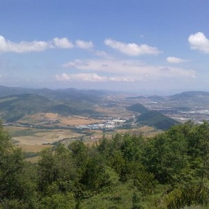 img_319872_43254.jpg