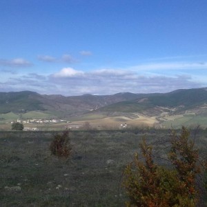 img_319875_43254.jpg