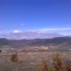 img_319876_43254.jpg