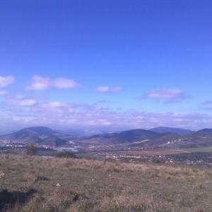 img_319877_43254.jpg