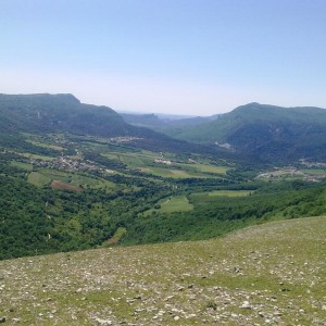 img_319883_43254.jpg