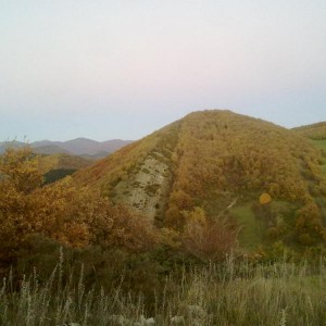 img_320101_43254.jpg