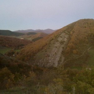 img_320102_43254.jpg