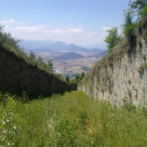img_320107_43254.jpg