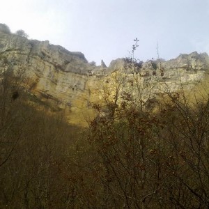 img_320110_43254.jpg