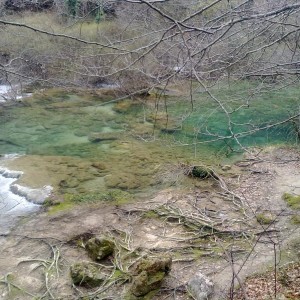 img_320111_43254.jpg