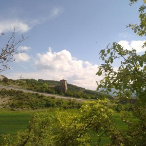 img_320118_43254.jpg