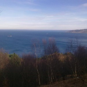 img_320119_43254.jpg