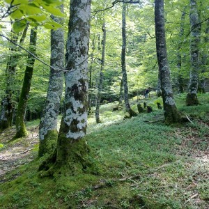 img_320120_43254.jpg