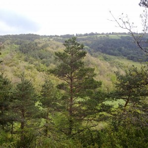 img_320122_43254.jpg