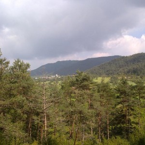 img_320123_43254.jpg