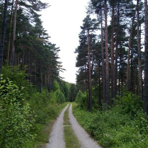 img_320124_43254.jpg