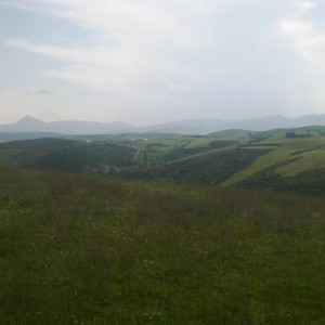 img_320125_43254.jpg