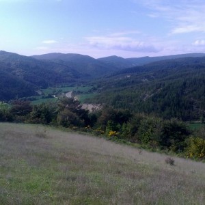 img_320127_43254.jpg