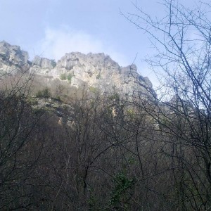 img_320128_43254.jpg