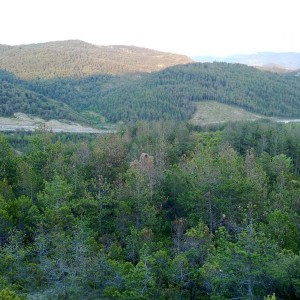 img_320130_43254.jpg