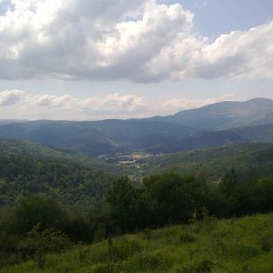 img_320132_43254.jpg