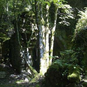 img_320133_43254.jpg
