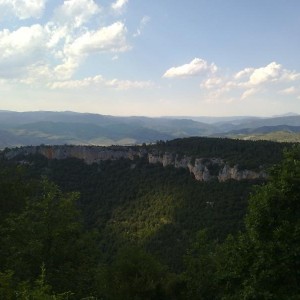img_320189_43254.jpg