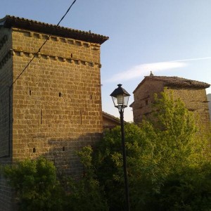 img_320202_43254.jpg