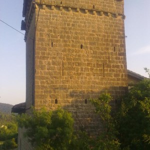 img_320203_43254.jpg