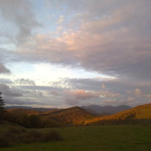 img_320204_43254.jpg