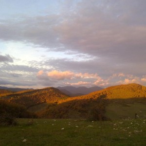 img_320205_43254.jpg